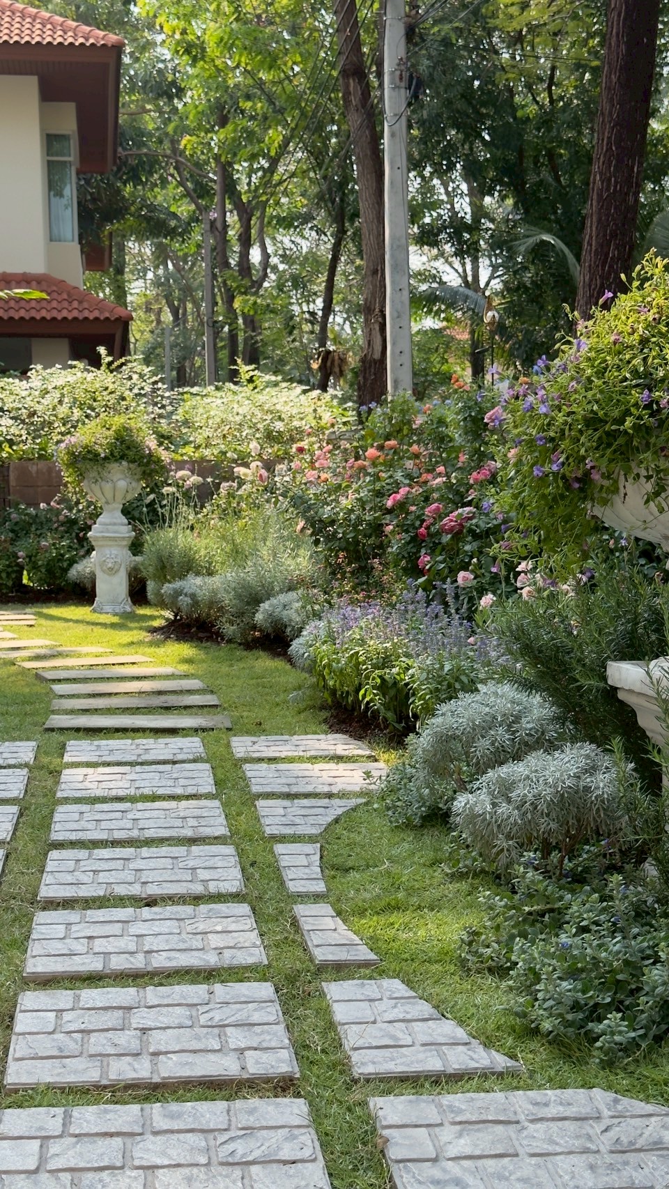 ผลงาน /nontaburi (6).jpg